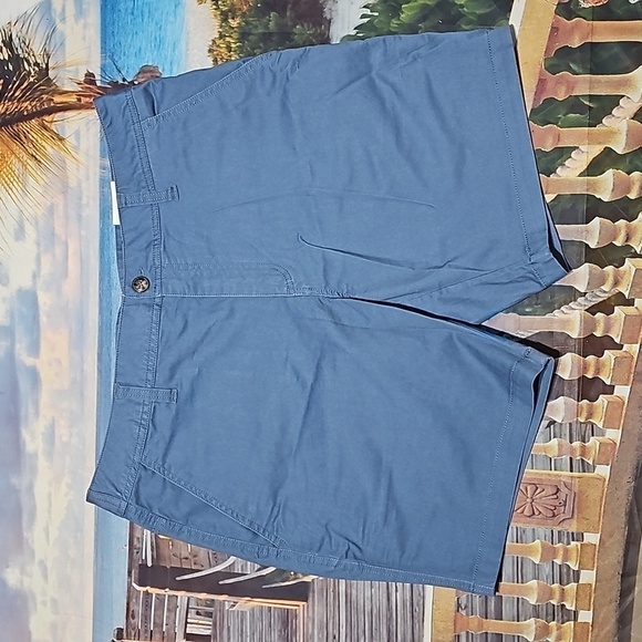 Toad&Co Mission Ridge High Tide Vintage Wash Shorts Size 36x8 NWT - Picture 1 of 6